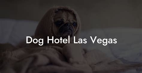 Dog hotel in las vegas  📍 3121 Las Vegas Blvd South